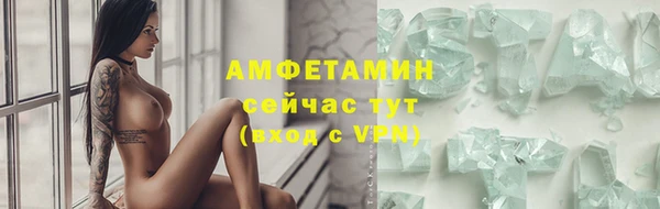 твердый Новозыбков