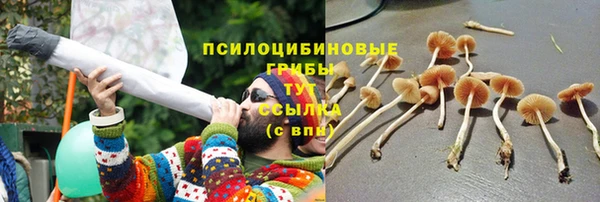 круглые Няндома