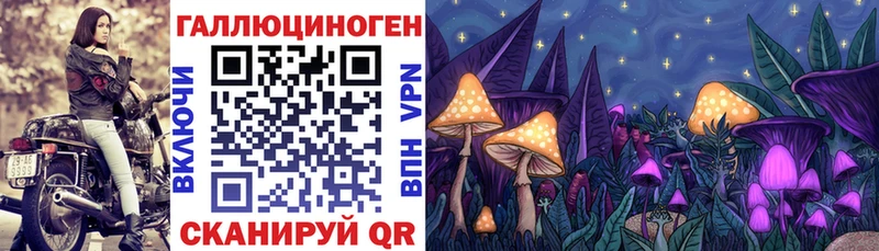 как найти закладки мега ССЫЛКА Галлюциногенные грибы Psilocybe Магнитогорск